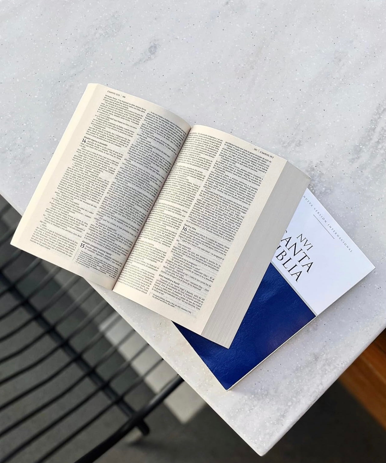 Donate The Holy Bible Spanish Translation - New International Version